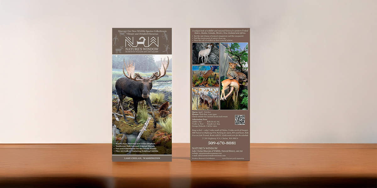 Rack card for Nature’s Window Museum showcasing a moose diorama on the front and multiple wildlife exhibit images with visitor details and QR code on the back.